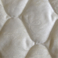 Plants: image 3 0f 4 thumb