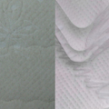 Plants: image 1 0f 4 thumb