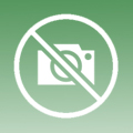 Plants: image 1 0f 4 thumb