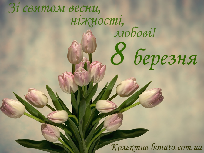 � 8 �������