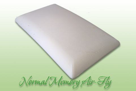 Normal Memory Air-Fly